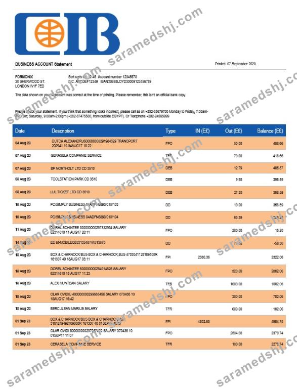 CIB Bank enterprise account statement Word and PDF template